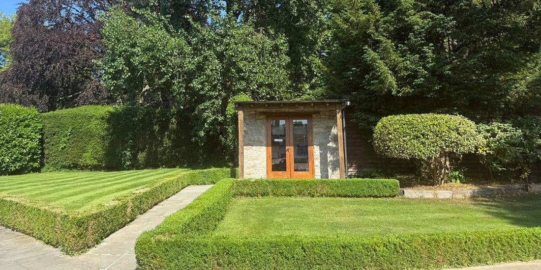 The Story Behind Shop at Babington: 22 Years in a Very Special Place