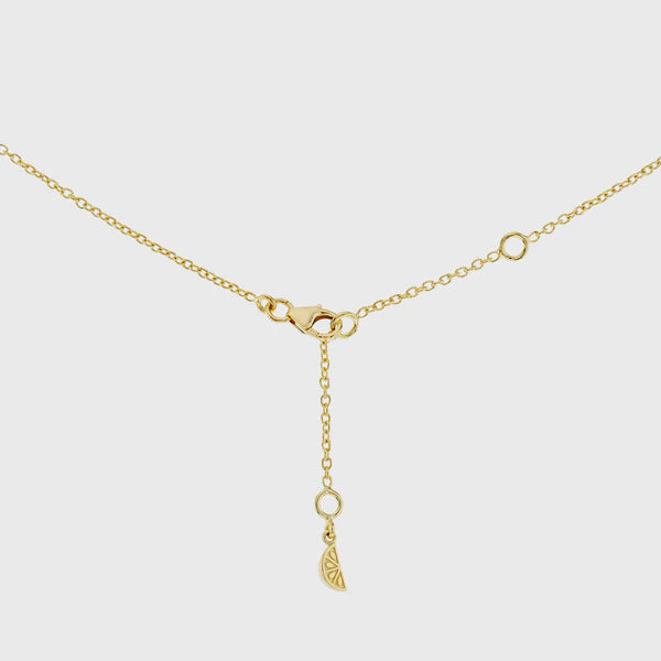 Salina Amazonite and Gold Vermeil Disc Necklace