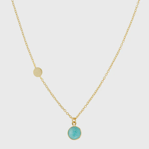 Salina Amazonite and Gold Vermeil Disc Necklace