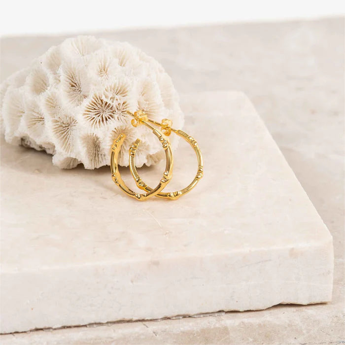 Deia Piccolo Yellow Gold Vermeil Kiss Hoop Earrings